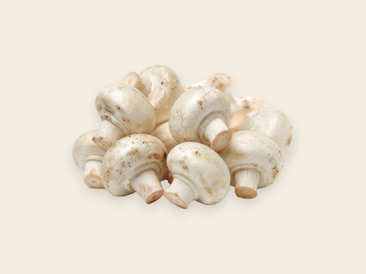 Organic Mushrooms White